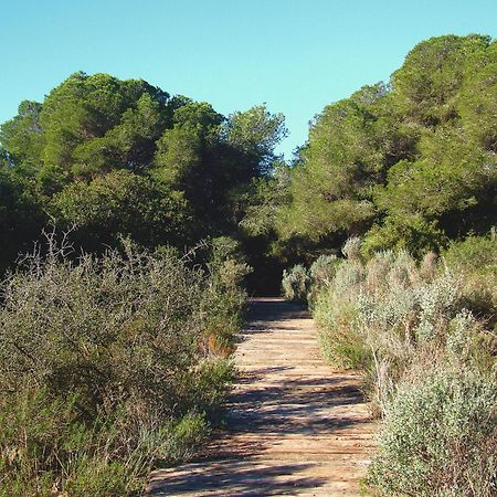 Albufera Dreams Nature Suites Valensiya Dış mekan fotoğraf