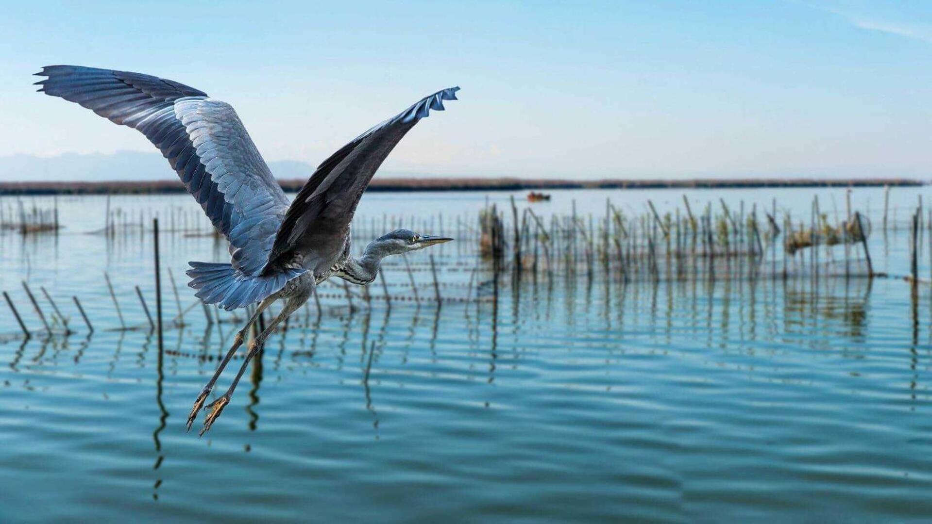 Albufera Dreams Nature Suites Valensiya Dış mekan fotoğraf